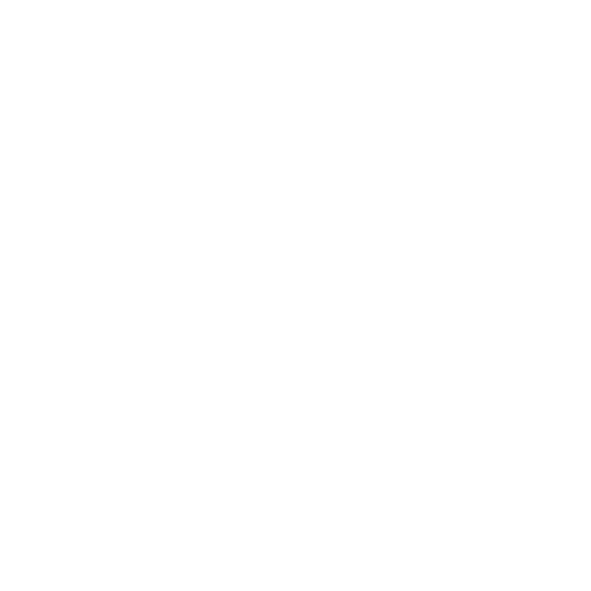 DNV logo