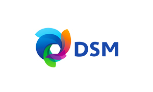 DSM logo