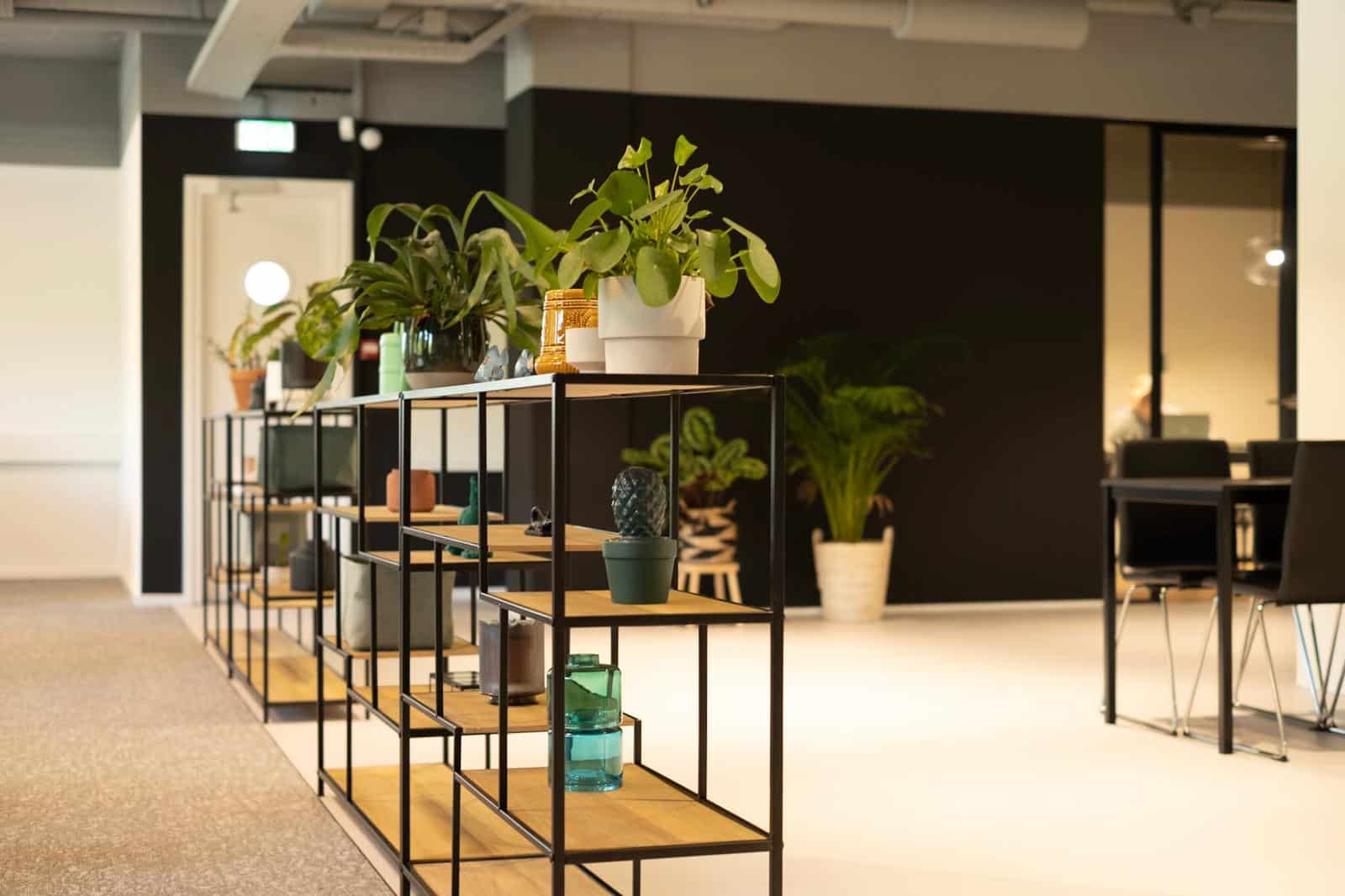 Kantoor Digital Survival Company