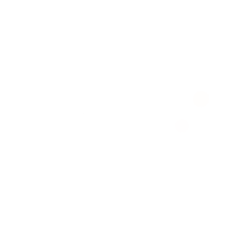 Logo Vidomes